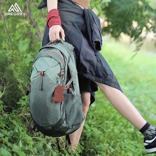 GREGORY格里高利 NANO蜂鸟 旅行男女户外徒步背包登山包通勤双肩包20L 20L-火焰绿
