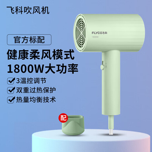 Feike Hair Dryer Home High Wind Quick-drying Negative Ion Hair Care Salon Grade High Power Hair Dryer Feike 6296 Green 1800w Constant Temperature Hair Care