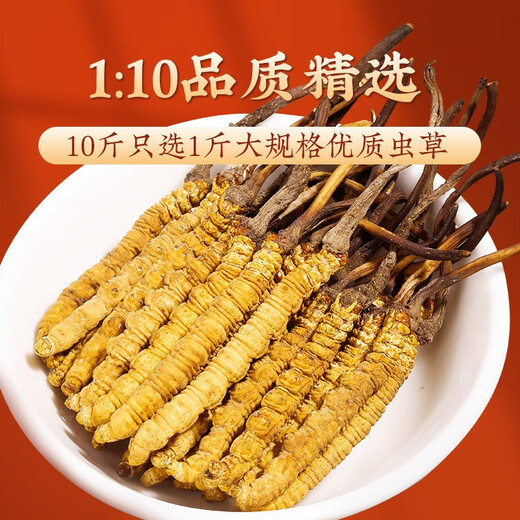 San Dikang Cordyceps sinensis, neue getrocknete Cordyceps nahrhafte Geschenke, Geschenke für Älteste, Ernährungsprodukte, 4 Stöcke/g, 30 Gramm, 120 Sticks