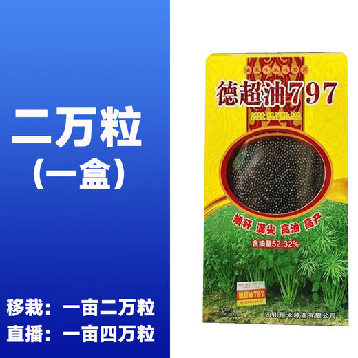 Stable-yielding short-stem Dechao Oil 797 hybrid stable-yielding rapeseed short-stem cold-resistant and lodging-resistant early-maturing oil with strong fragrance short-stem high-oil hybrid Dechao Oil 797 20,000 grains/