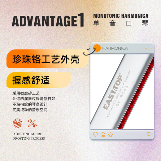 Ajuste de armónica de un solo hoyo oriental Ding Ding Ajuste ABCDEFG para estudiantes principiantes y profesionales para adultos Jugue T24 C Ajuste [Recomendado por principiantes]