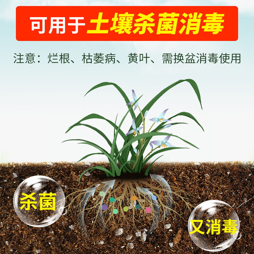 Hymexazole fungicide orchid soil disinfection succulent root rot black spot black spot orchid root rot special pesticide pesticide fungicide 30g