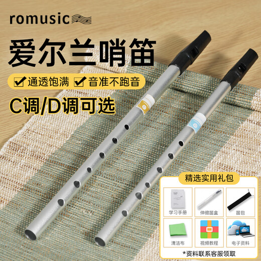 Romusic whistle Irish D key six-hole recorder beginners entry door flute adult student professional playing instrument silver