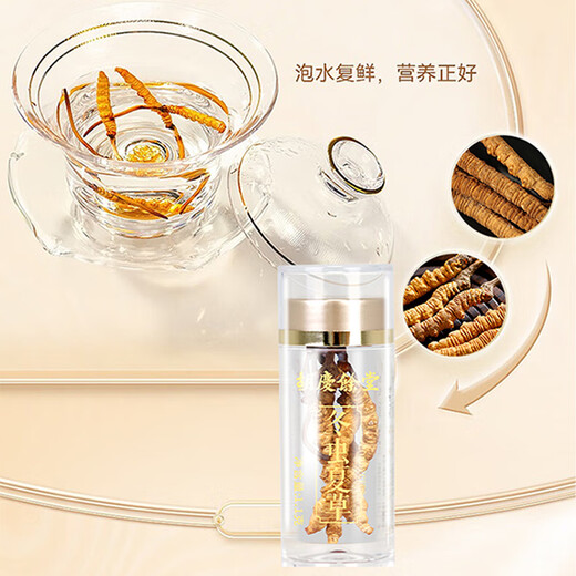 Hu Qingyutang Cordyceps sinensis gift box New Year gift box Tibetan high altitude natural growth nutritional supplements gift for elders 5.5g gift box
