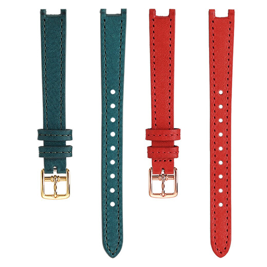 Zhuo Lei está adaptado a Coach Park Small Green Watch 14503534/3894 Women Smitch de cuero de tamaño pequeño Correa Oliva sin hebilla Ancho: 12 mm