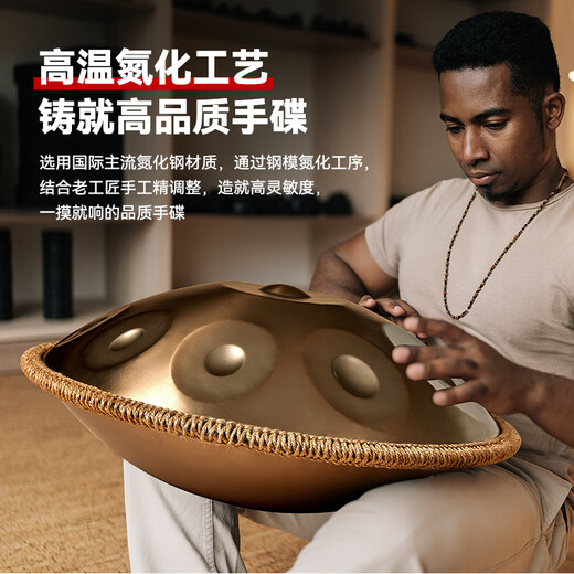白龙吟Handpan手碟鼓乐器D小调打击乐器入门级初学专业手碟9音10音12音 太阳鸟 12音【专业款】