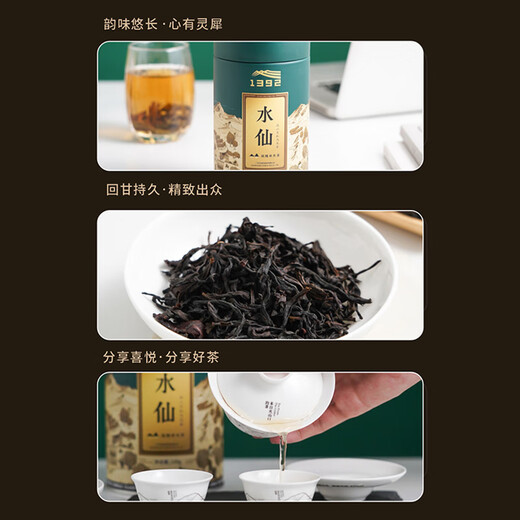 Tianchi Oolong Tee Colorful Serie Wulu Phoenix Single Cong Tee Single Cyclone Narzisse Tee Special 100g Konserven selbst trinkende Geschenk