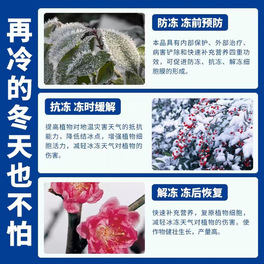 Huaneng plant rape antifreeze liquid fruit tree cold protection plant cold resistance vegetable antifreeze warm anti-cold anti-freeze anti-freeze liquid