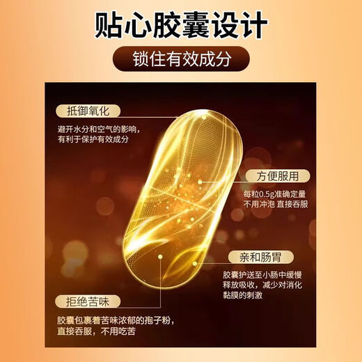 【拍一发十盒】盛力源破壁灵芝孢子粉增强免疫力袍子粉 10盒