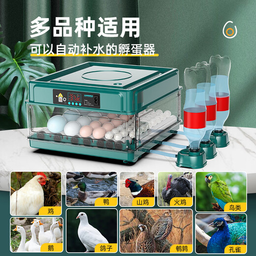 Water bed duck goose small rutin chicken incubator egg incubator egg incubator incubator small household type fully automatic intelligent 24 fully automatic single electricity (display temperature + number of days)