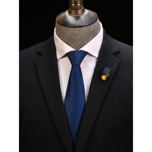 RORONOA tie men's zipper formal wear lazy men's business zipper without knotting students' one-time pull [good stuff] Zipper tie-E826