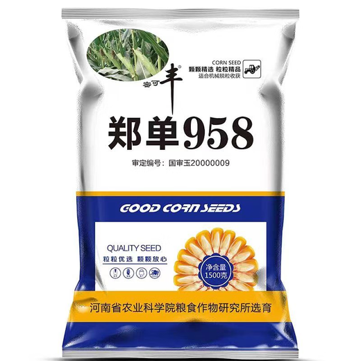 Коллекция семян кукурузы Zhengdan 958, короткий стебель, двойной стержень, устойчивость к засухе и наводнениям, устойчивость к полеганию, Академия сельскохозяйственных наук, Zhengdan 958, 1500 граммов в пакете, можно сажать на одном акре