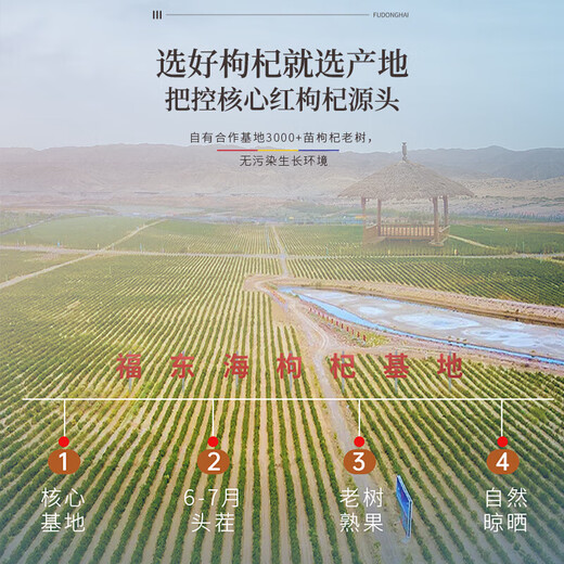 福东海 宁夏特级红枸杞子500g 头茬新货正宗中宁免洗苟杞子枸杞茶泡水 【宁夏】头茬红枸杞500g