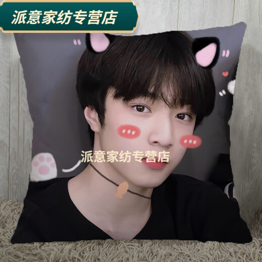 Rongtao Liu Yaowen peripheral pillows from the Youth League customized support dolls universal cushion creative birthday gift 01 60*60cm (small size) silky bright section