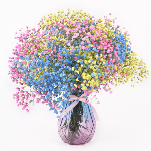 AIMAN Gypsophila Natural Dried Flower Bouquet Ins Internet Celebrity Birthday New House Decorative Ornaments Air-Dried Real Flower Arrangements Home Furnishings Purple Gypsophila + Citrine Without Vase
