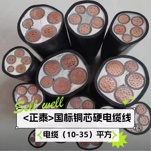 正泰（CHNT）正泰ZRYJV电缆线国标铜芯345芯507095120平方工程电力电缆 3x3001x15099点99无氧铜