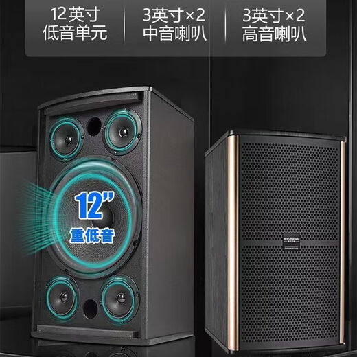 HYUNDAI现代家庭KTV音响套装卡拉OK机家用客厅K歌功放音箱影院点歌机全套 四只十二寸专业歌神版+点歌机+12寸炮
