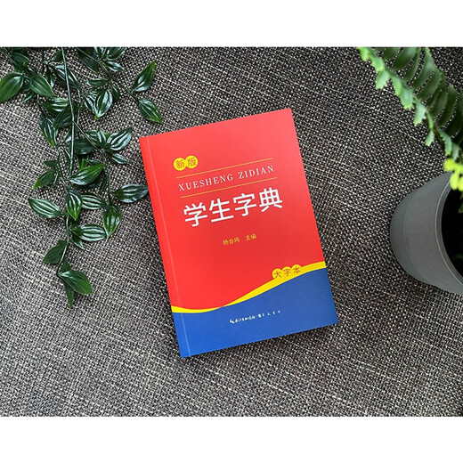 Student Dictionary (Large Character Edition)