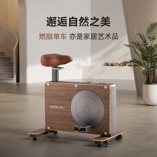 绝影小木马动感单车家用款室内自行车智能健身器材有氧骑行XJ-XS30B2