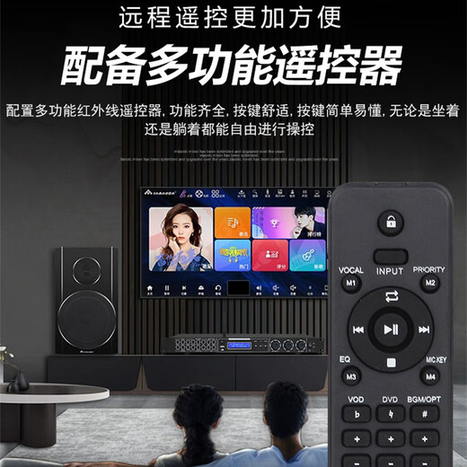 MICGRS professional pre-amp effector with wireless microphone engineering box conference home ktv singing amplifier 5.1 amplifier home theater anti-howling equalization adjustment audio processing EX20M