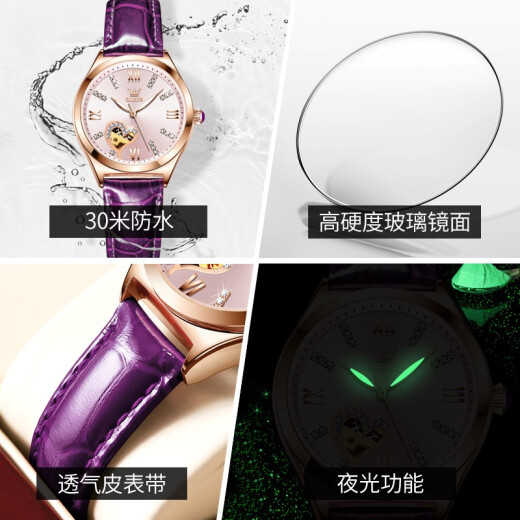 
OLEVS Swiss certified brand watches for women mechanical watches fully automatic simple temperament women's watches luminous waterproof women's watches OLEVS-6636-Purple leather rose shell powder