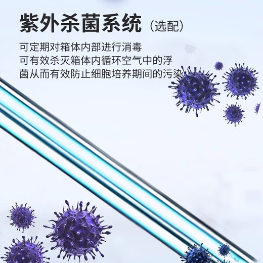 一恒电热恒温培养箱DHP/BPH系列精密微生物细霉菌种子发芽箱实验室 DHP-9902（立式）