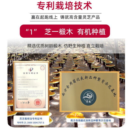 粤微全灵芝孢子粉免疫调节酶法破壁多糖三萜中老年成人保健品送礼 【有机灵芝】2g/袋*30袋/盒