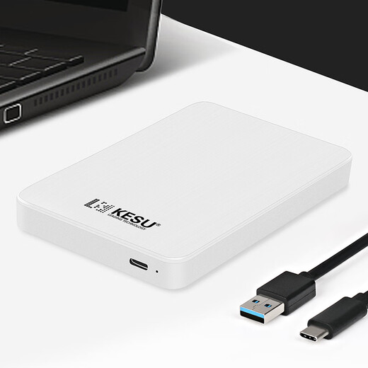 科硕（KESU） 移动硬盘加密 2.5英寸  type-c USB3.1手机电脑高速存储 320G+硬盘防震包 黑色
