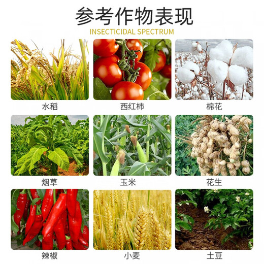 Dwarf dwarf narcissus flower dwarf dwarfing agent dwarf dwarf dwarf dwarf dwarf dwarf dwarf dwarf dwarf dwarf dwarf dwarf dwarf dwarf dwarf dwarf dwarf dwarf dwarf dwarf dwarf dwarf dwarf dwarf dwarf dwarf dwarf dwarf dwarf dwarf dwarf dwarf dwarf dwarf dwarf dwarf agent 500ml