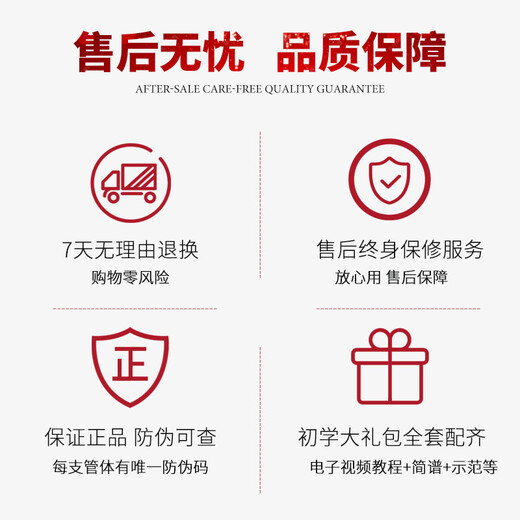 萨尔特次中音萨克斯管乐器专业成人降b调SP-6600 进口铜材 台湾原装原产 仿古青铜色