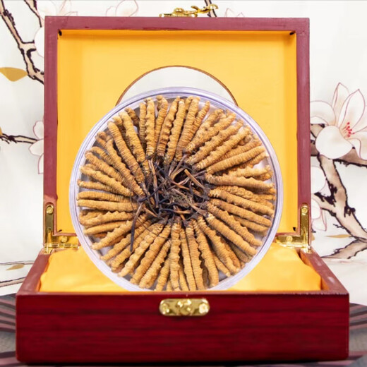 Cordyceps sinensis, high-altitude Cordyceps sinensis from Tibetan snowy areas, affordable for personal use, holiday gifts, gift box, 3 sticks/g (1 stick per order)