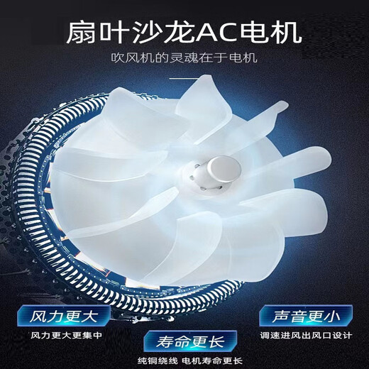 
Feike FH6101 Speed ​​Dryer Hair Dryer High Power Hair Style Barber Shop Negative Ion Hair Care Hair Care and Hair Care Silent Feike FH6231 Slipper Set