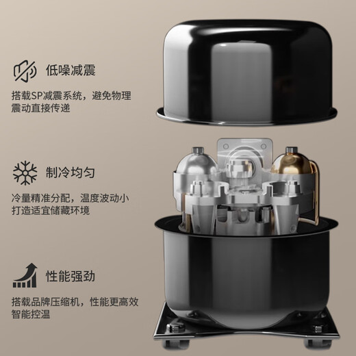 VINGARDE wine cabinet constant temperature wine cabinet dual temperature refrigerator beverage ice bar compressor refrigeration air-cooled frost-free household tea beverage liquor wine fruit preservation refrigerated display cabinet CH-208 dual temperature full flat wine cabinet 70 bottles