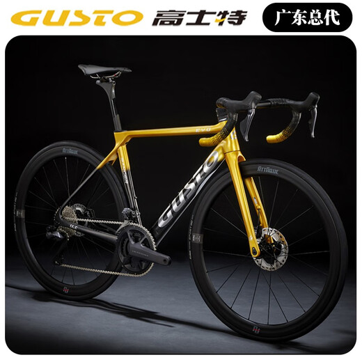 SUNPEED高士特公路车GUSTO RANGER EVO碳纤维碟刹电变破风气动自行车 车队金 更多尺码请联系客服确认 电变7170铝轮铝把
