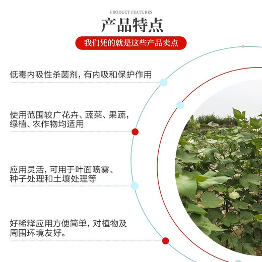 Hoe shopkeeper 50% carbendazim fungicide fruit trees, vegetables and flowers powdery mildew leaf spot anthrax head blight sheath blight pesticide broad spectrum sterilization 20g 1 bag