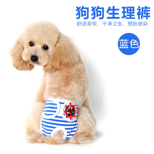Mibei Meng Menstrual Pants Teddy Menstrual Pants Maternity Products Sanitary Pants Princess Shorts Aunt Pants Blue XL - Waist 45-55CM