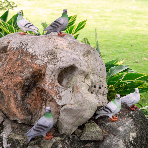 Huixiang creative outdoor garden courtyard balcony decorative ornaments handicrafts simulation animal sculpture dove ornaments a pair of white doves