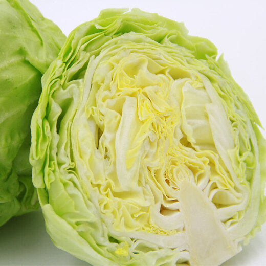 Cabbage about 800g
