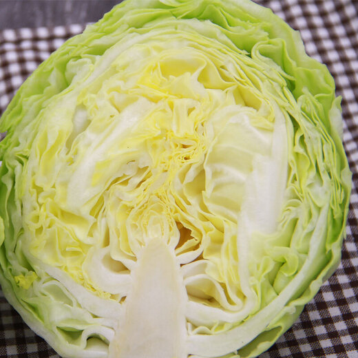 Cabbage about 800g