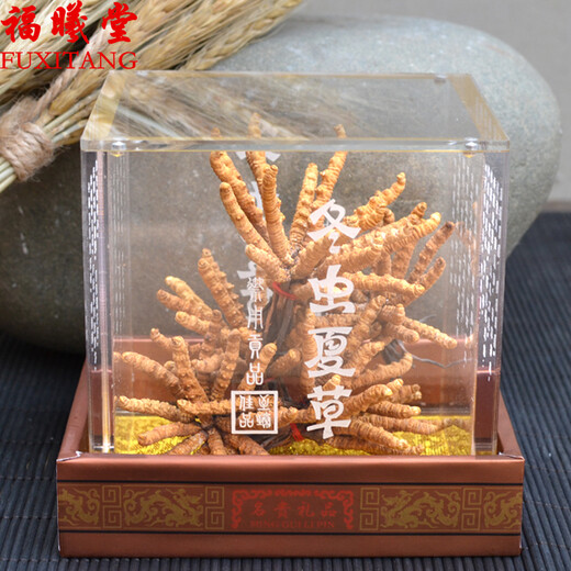 福曦堂 西藏高海拔 那曲冬虫夏草 那曲虫草  西藏冬虫夏草 那曲冬虫夏草5根1克 内装15克