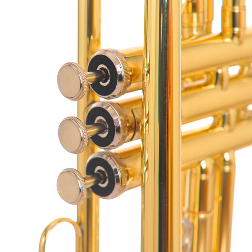 SAIDESEN B-flat trumpet instruments for beginners and professional performances Monel Pistons Students and adult Western wind music Golden version STR-100