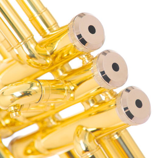 SAIDESEN B-flat trumpet instruments for beginners and professional performances Monel Pistons Students and adult Western wind music Golden version STR-100