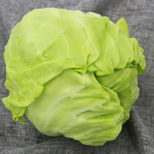 Cabbage about 800g