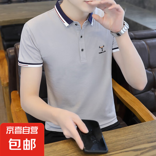 【纯棉耐磨】夏季男士短袖Polo衫半袖翻领t恤男休闲上衣刺绣T潮流 Q673灰色 纯棉高档 L 建议100-120斤