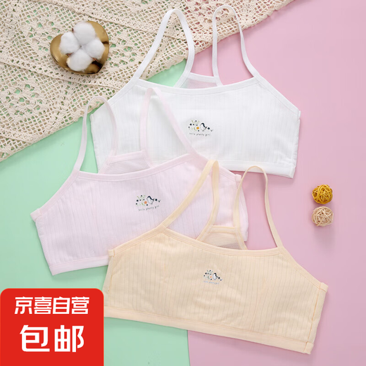 Girls 'Developmental Unterwäsche Pure Cotton Student Bra Sportsweste Anti-Protrision Kinder Cartoon HAUSPERSGRANT BRA Mischte Farbe 3 Stücke (rosa und weiße Haut) Einer Größe (vorgeschlagen 60-95 Jin [Jin ist gleich 0,5 kg])