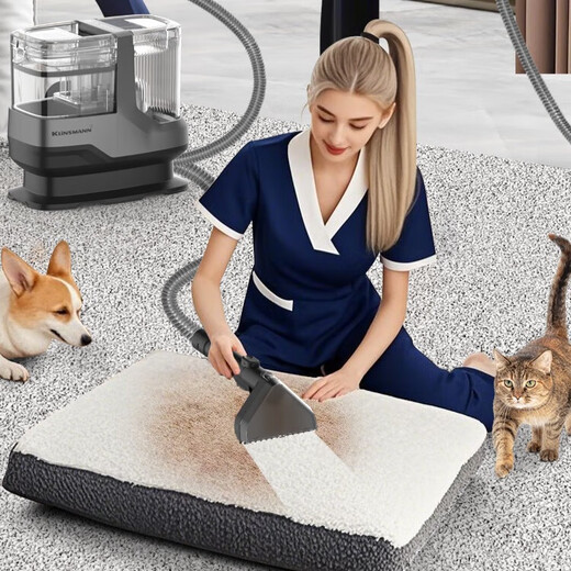 Klinsmann Neues Hochtemperaturdampfstoff-Maschine Teppich-Sofa-Reinigung Haushalt Multifunktionaler Pinsel integrierter Reinigungsgerät C688 Dampfhotwassermodell