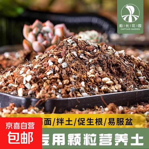 Captain Succulent Nutrient Soil Special Granular Soil for Planting Flowers and Potted Plants Universal Colored Stone Peat Flower Soil Paving Stone Adult Plant Soil 50% Granular Soil 5Jin Jin is equal to 0.5 kg