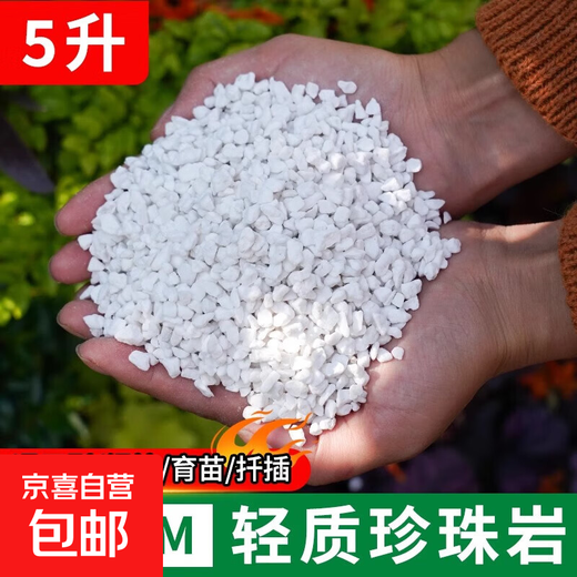 Suelo nutritivo universal de partículas grandes sin polvo de perlita para cultivo de flores, plantación de orquídeas suculentas y expansión de plántulas, material vegetal duro con aislamiento térmico, perlita liviana de 4-8 mm, 5 litros