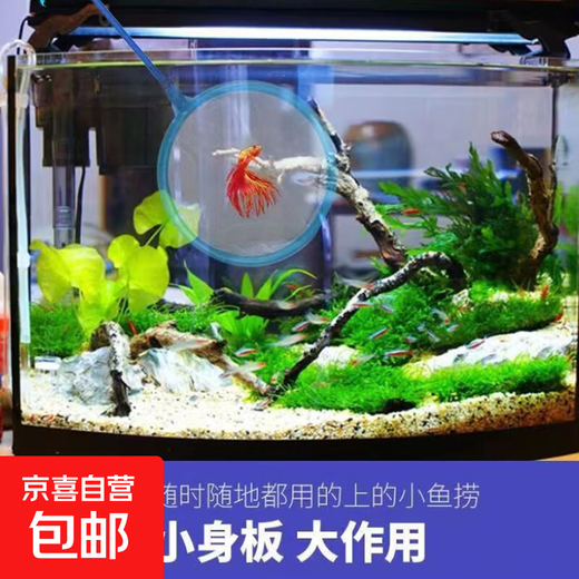 Fish tank fishing net, fish and shrimp fishing dense net, handmade net, household retractable fishing net, fishing net, parent-child family toys, large size 1