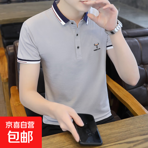 【纯棉耐磨】夏季男士短袖Polo衫半袖翻领t恤男休闲上衣刺绣T潮流 Q673灰色 纯棉高档 L 建议100-120斤
